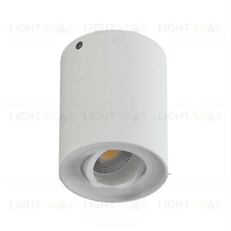 Накладной светодиодный светильник ADISA цилиндрической формы VL31166