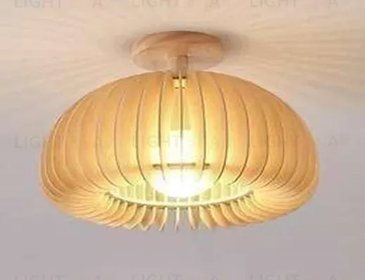 Потолочный светильник JESTER 6205