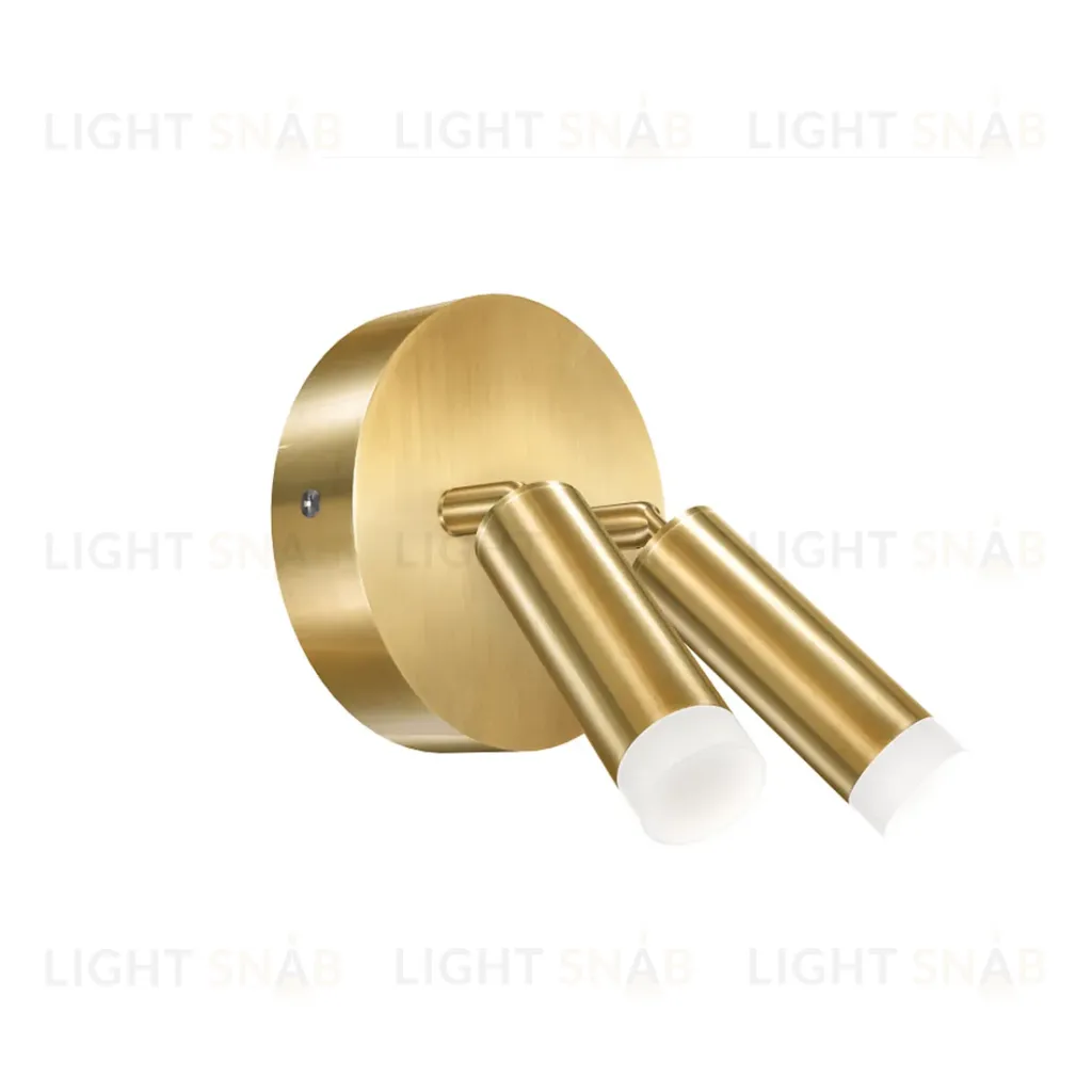 Настенный светильник (Бра) IRTAS WLY101-B30-80*2