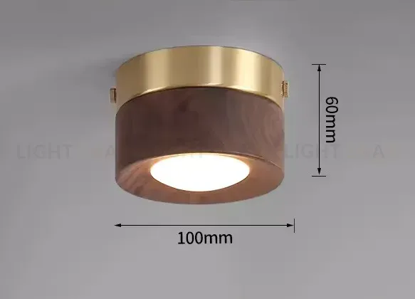 Потолочный светильник GURT PT11528