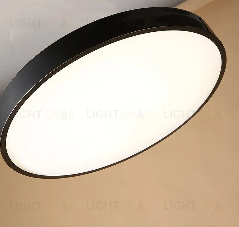 Дизайнерский потолочный светильник MONIC SL-599