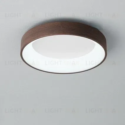 Потолочный светильник EINFACH PT5117