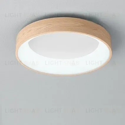 Потолочный светильник EINFACH PT5117