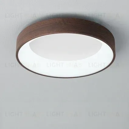 Потолочный светильник EINFACH PT5117