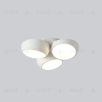 Потолочный светильник FASHION LIGHTS PT1649