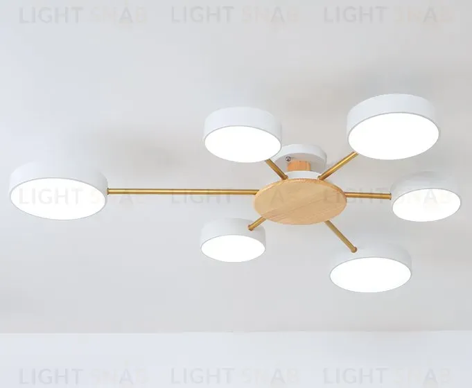 Люстра OLLES PT596