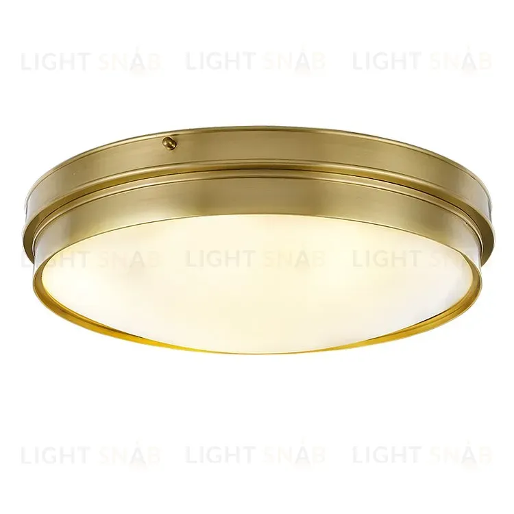 Потолочный светильник Harri PT303