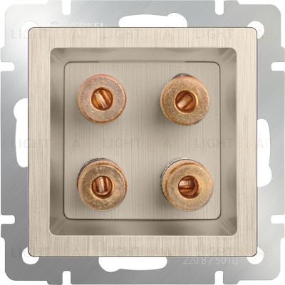 Акустическая розетка Werkel х4, шампань рифленый a051421 a051421
