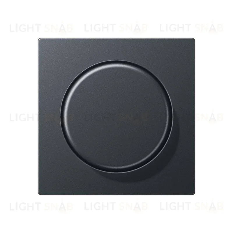 Светорегулятор поворотно-нажимной Jung 100-1000 Вт. для ламп накаливания и галог. 211GDE+EP1540BFAN 211GDE + EP1540BFAN