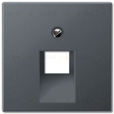 Розетка компьютерная одинарная Jung RJ45 6-й кат. EPUAE8UPOK6+A569-1BFPLUAANM EPUAE8UPOK6 + A569-1BFPLUAANM