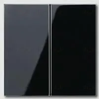 Выключатель двухклавишный Jung , 10А/250В 505u+a595sw 505u + a595sw