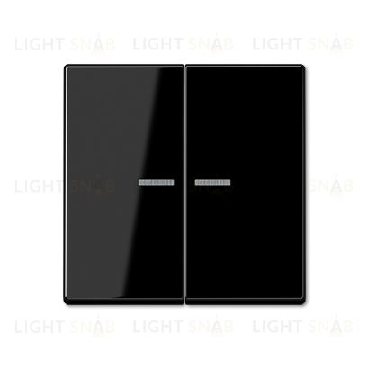 Выключатель двухклавишный с подсветкой Jung, 10А/250В 505u5+A595KO5SW 505u5 + A595KO5SW