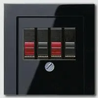 Розетка акустическая двойная Jung A569PLTSW+110910 A569PLTSW + 110910