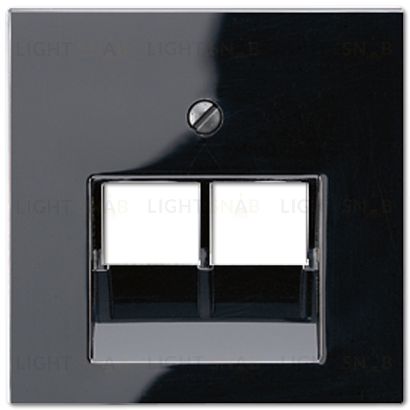 Розетка телефонная двойная Jung RJ11 EPUAE8-8UPO+A569-2BFPLUASW EPUAE8-8UPO + A569-2BFPLUASW