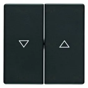 Выключатель управления жалюзи 2-х кнопочный Berker, 10А/250В, антрацит 16256086+503520 16256086 + 503520