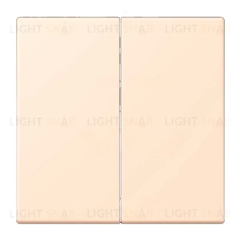 Кнопочный переключатель 2 клавишный Jung LS 990 Les Couleurs Le Corbusier terre sienne pale 509TU+LC99532123 509TU + LC99532123