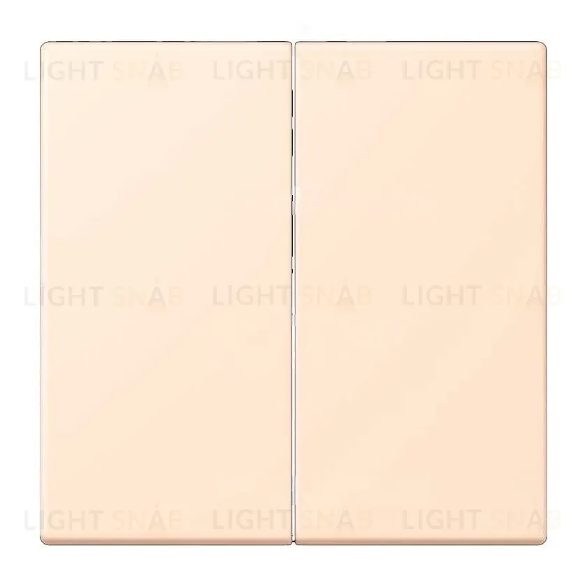 Выключатель 2 клавишный Jung LS 990 Les Couleurs Le Corbusier terre sienne pale 505u+LC99532123 505u + LC99532123