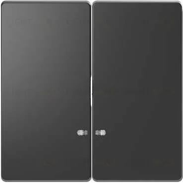 Выключатель двухклавишный с подсветкой Merten D-life 10А/250В, антрацит MTN3135-0000+MTN3420-6034 MTN3135-0000 + MTN3420-6034