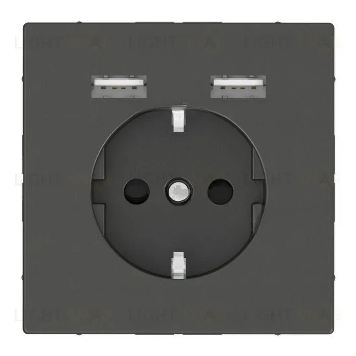 Розетка с заземлением с 2 USB 2,4А и защитными шторками 16А/250В Merten D-life, антрацит MTN2366-6034 MTN2366-6034