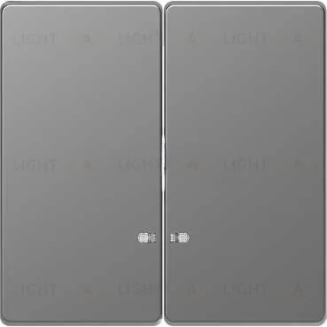 Выключатель двухклавишный с подсветкой Merten D-life 10А/250В, нержавеющая сталь MTN3135-0000+MTN3420-6036 MTN3135-0000 + MTN3420-6036