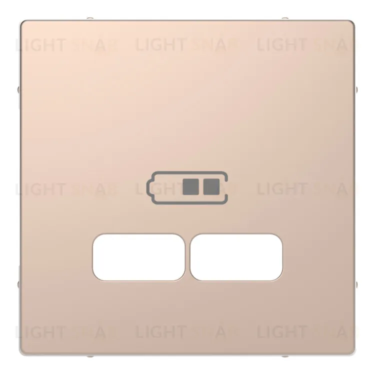 Розетка USB двойная для зарядки Merten D-life, шампань металл MTN4366-0100+MTN4367-6051 MTN4366-0100 + MTN4367-6051