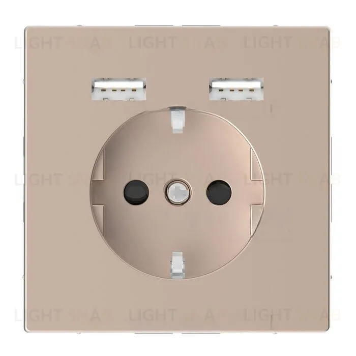 Розетка с заземлением с 2 USB 2,4А и защитными шторками 16А/250В Merten D-life, шампань MTN2366-6051 MTN2366-6051