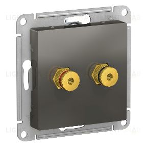 Розетка акустическая двойная Schneider Atlasdesign, сталь ATN000987 ATN000987