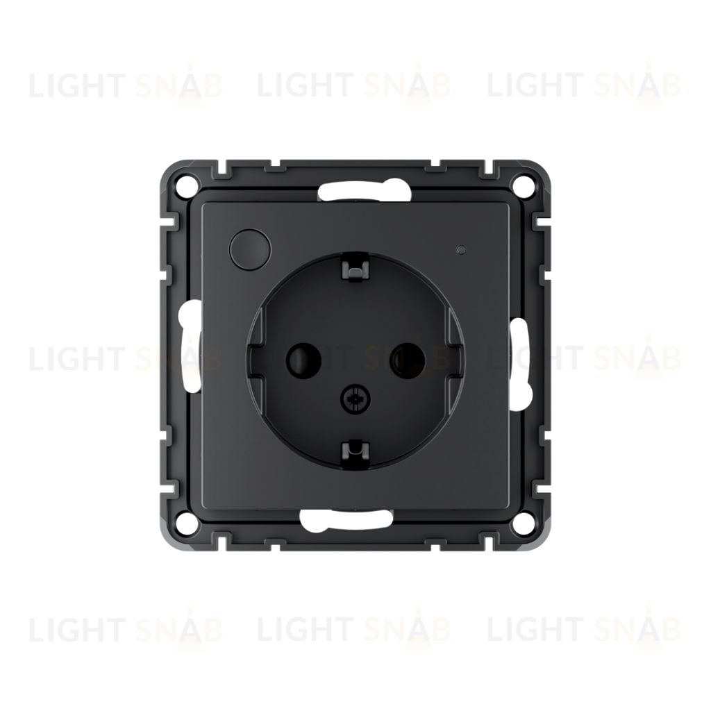 Smart розетка с заземлением со шторками Schneider Electric Atlasdesign Zigbee 3.0, L+N, 16А, карбон ATN001045Z ATN001045Z