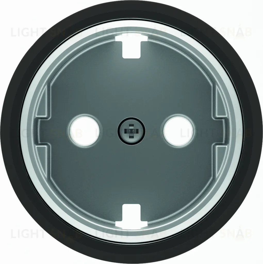 Розетка с заземлением со шторками с винтовыми клеммами ABB Skymoon, черное стекло 2CLA818890A1001+2CLA868890A1501 2CLA818890A1001 + 2CLA868890A1501
