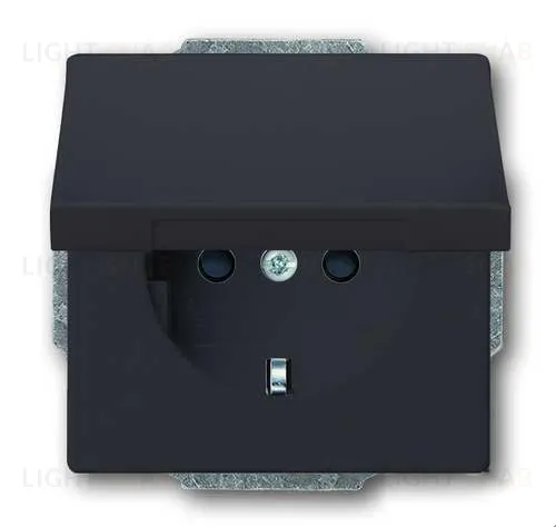 Розетка электрическая с крышкой ABB Dynasty (антрацит) 2CKA002018A1486 2CKA002018A1486