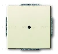 Заглушка с опорной пластиной ABB (слоновая кость) 2CKA001710A3143 2CKA001710A3143
