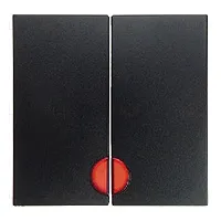 Выключатель двухклавишный с подсветкой Berker 10А/250В 3035+1675+16271606 3035 + 1675 + 16271606