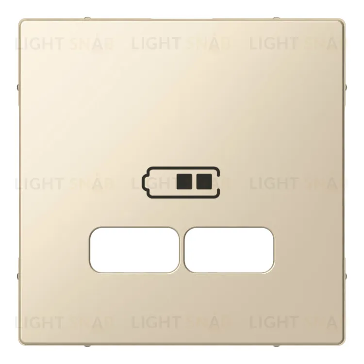 Розетка USB двойная для зарядки Merten, кремовый глянцевый MTN4366-0100+MTN4367-0344 MTN4366-0100 + MTN4367-0344