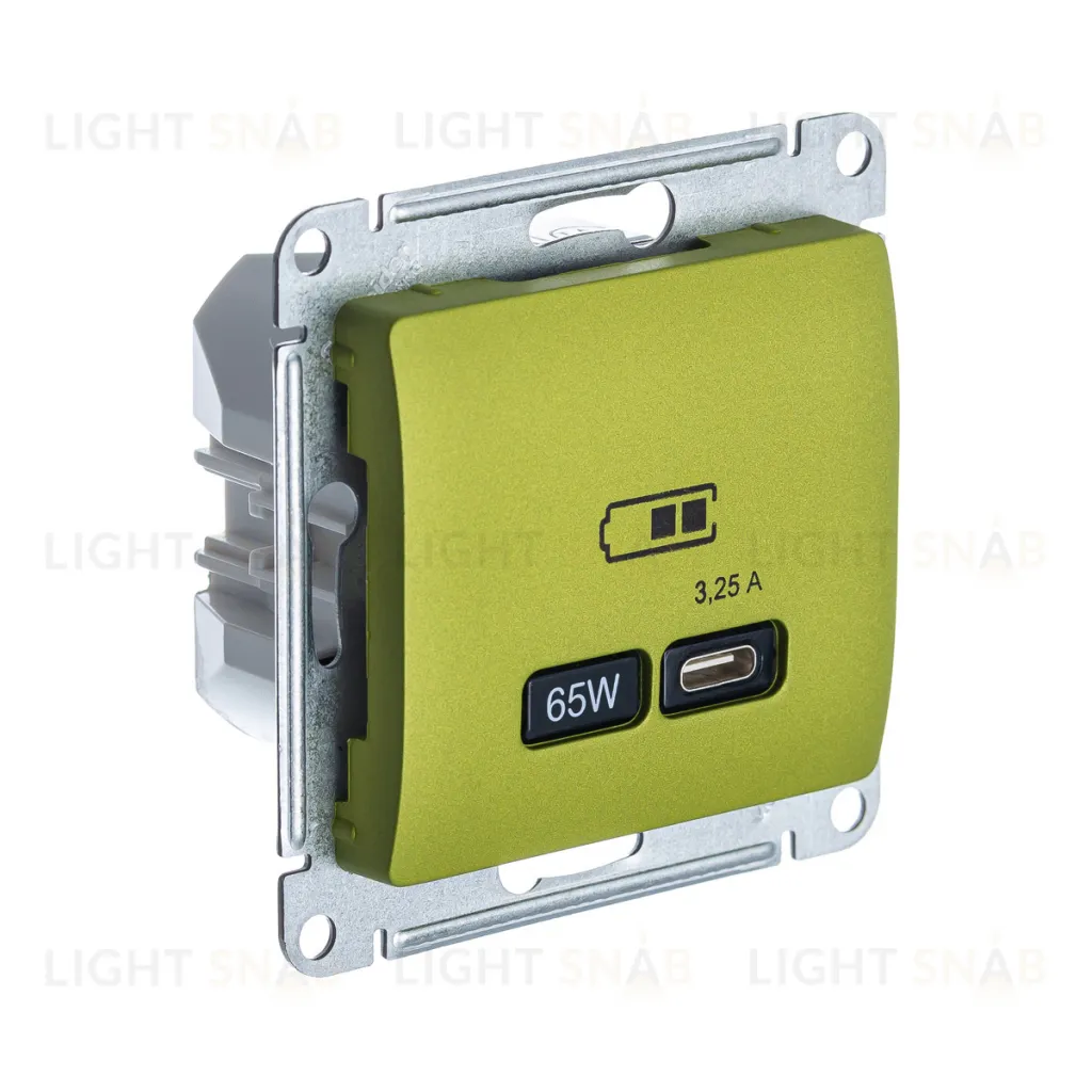 Розетка USB для зарядки Schneider GLOSSA тип-С 65W высокоскор.заряд. QC, PD, фисташковый GSL001027 GSL001027