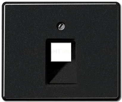 Розетка компьютерная одинарная Jung RJ45 6-й кат. EPUAE8UPOK6+sl569-1uasw EPUAE8UPOK6 + sl569-1uasw