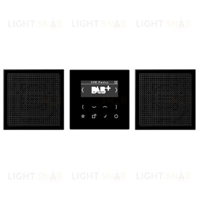 Смарт радио JUNG DAB+стерео, черный глянцевый DABLS2SW DABLS2SW