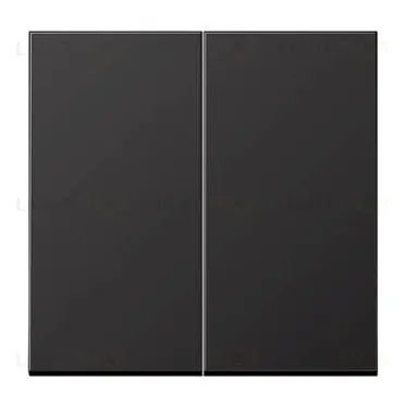 Выключатель двухклавишный Jung, 10А/250В алюминий темный 505u+AL2995D 505u + AL2995D