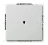 Заглушка с опорной пластиной ABB Pure сталь 2CKA001710A3751 2CKA001710A3751