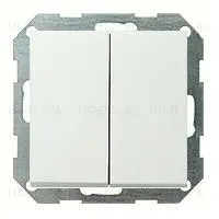 Выключатель двухклавишный Gira 10А/250В 010500+0295112 010500 + 0295112