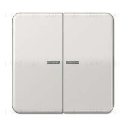 Выключатель двухклавишный с подсветкой Jung CD 500, 10А/250В 505u5+CD595KO5LG 505u5 + CD595KO5LG