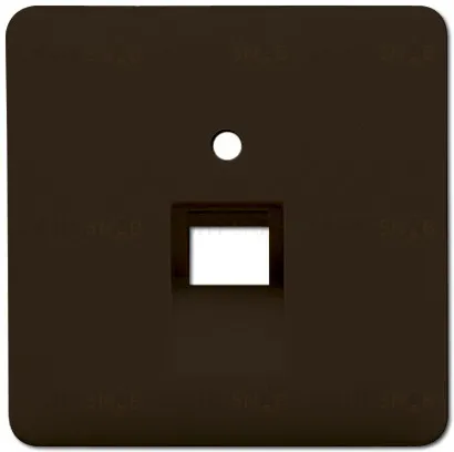 Розетка компьютерная одинарная Jung RJ45 6-й кат. EPUAE8UPOK6+CD569-1UABR EPUAE8UPOK6 + CD569-1UABR