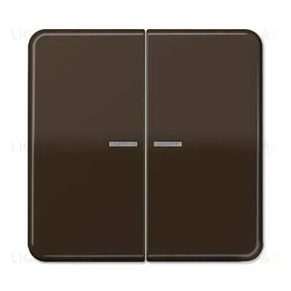 Выключатель двухклавишный с подсветкой Jung CD 500, 10А/250В 505u5+CD595KO5BR 505u5 + CD595KO5BR