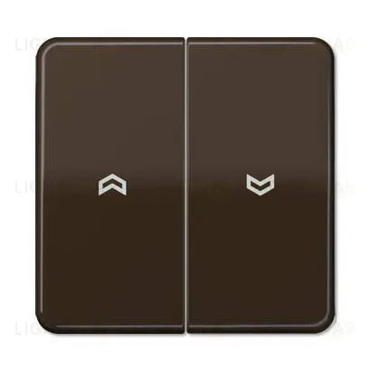 Выключатель управления жалюзи клавишный Jung, 10А/250В 509VU+CD595PBR 509VU + CD595PBR