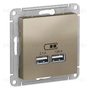 Розетка USB двойная для зарядки System Electric ArtGallery 2,1А, шампань GAL000508+ATN000533 GAL000508 + ATN000533
