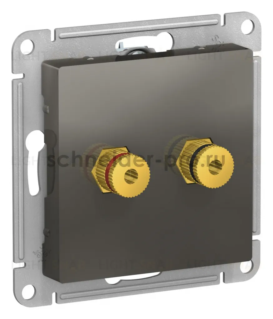 Розетка акустическая двойная System Electric ArtGallery, сталь GAL000908+ATN000987 GAL000908 + ATN000987