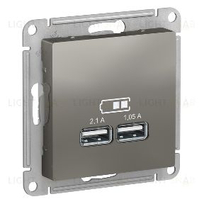 Розетка USB двойная для зарядки System Electric ArtGallery 2,1А, сталь GAL000908+ATN000933 GAL000908 + ATN000933