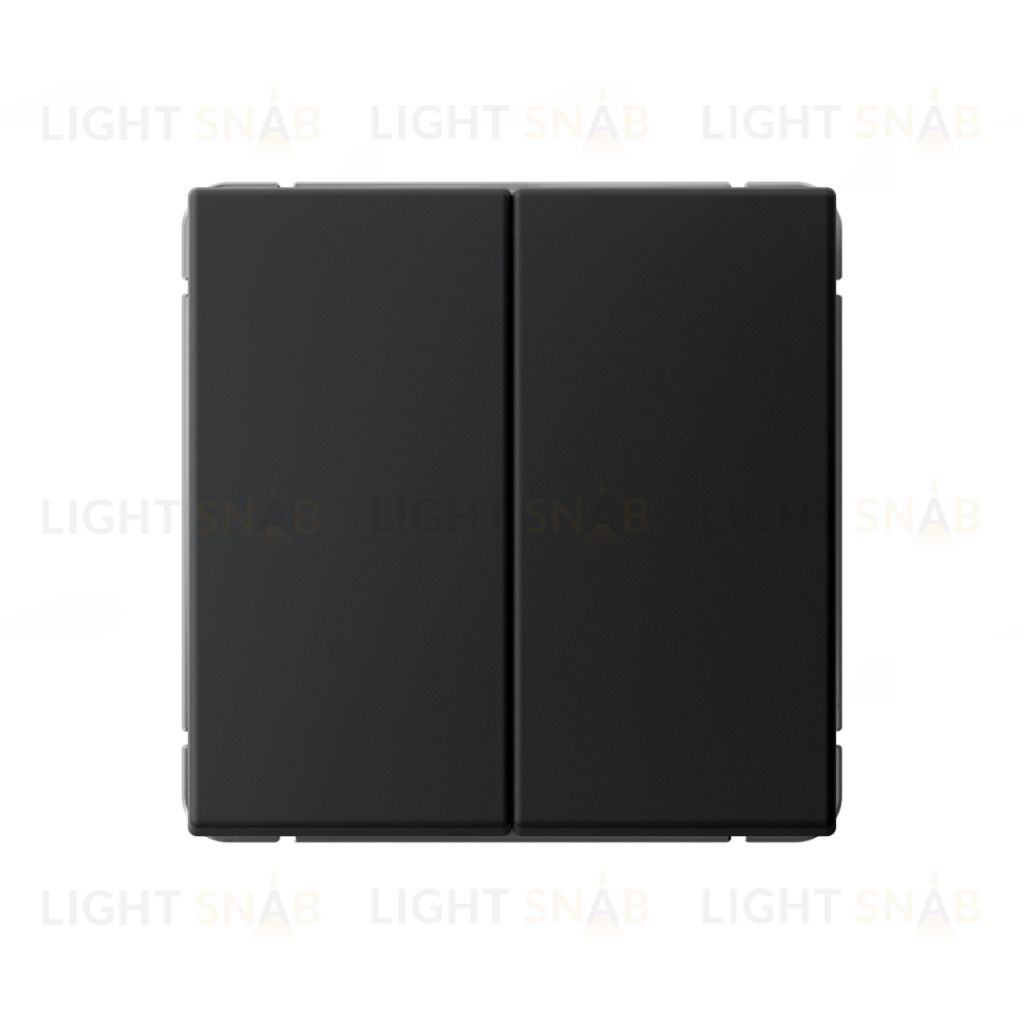 Выключатель двухклавишный System Electric ArtGallery 10А, карбон GAL001051 GAL001051