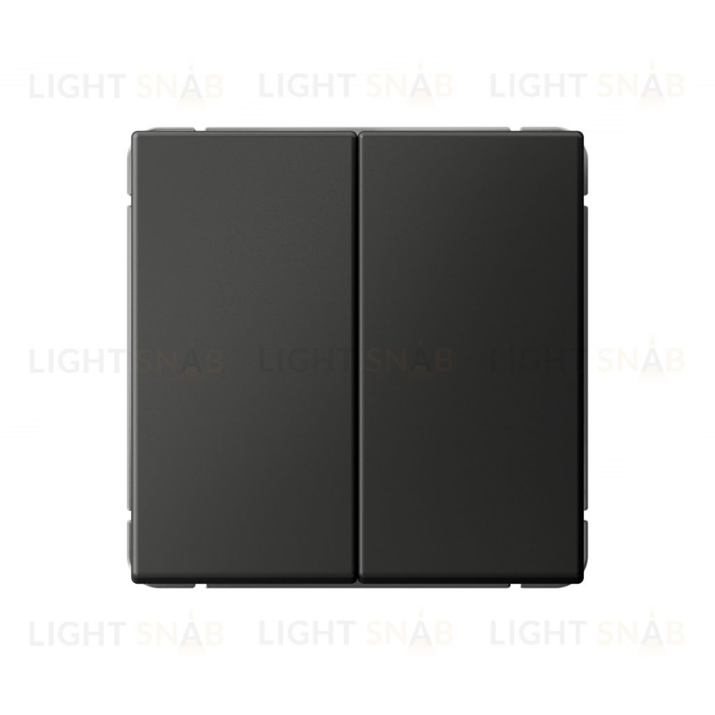 Выключатель двухклавишный System Electric ArtGallery 10А, базальт GAL001451 GAL001451