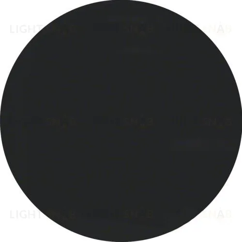 Центральная панель с регулирующей кнопкой для поворотного диммера, R.1, цвет: черный 11372045 11372045