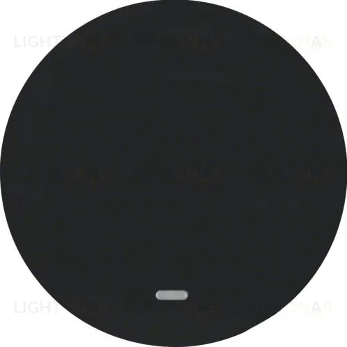 Клавиша с прозрачной линзой, R.1/R.3, цвет: черной 16212045 16212045